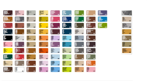 TINTE PARA ZAPATOS TARRAGO